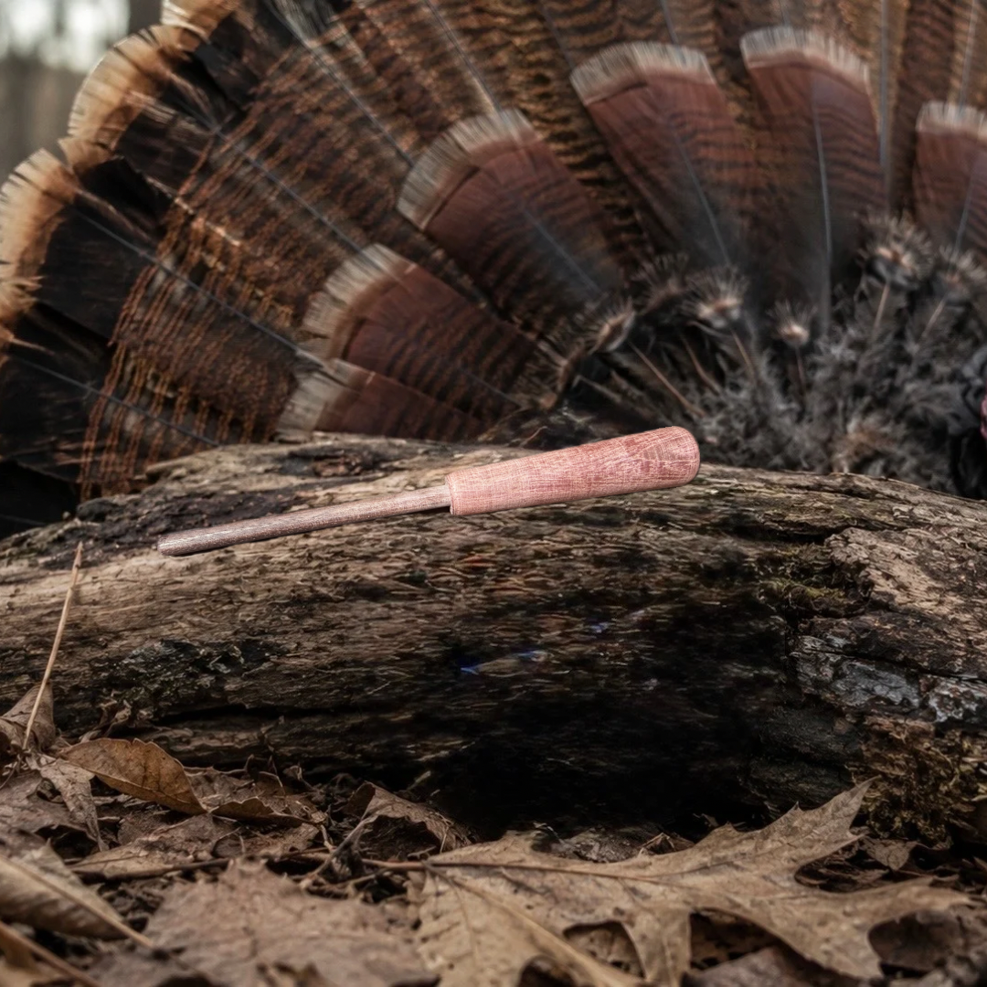 Curly apple 3.5”￼